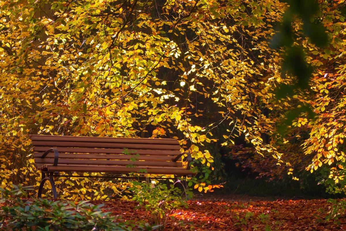 19 вересня в Україні стане тепліше / фото Pixabay 19 вересня в Україні стане тепліше / фото Pixabay