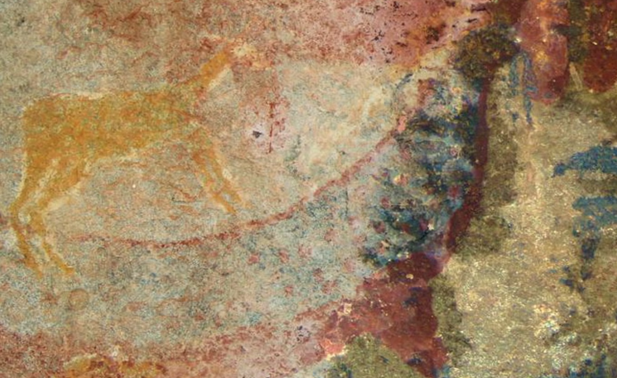 Ученые определили, что за животное изображено на наскальных рисунках в Южной Африке / фото Julien Benoit