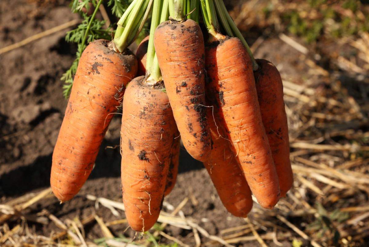 / фото ua.depositphotos.com