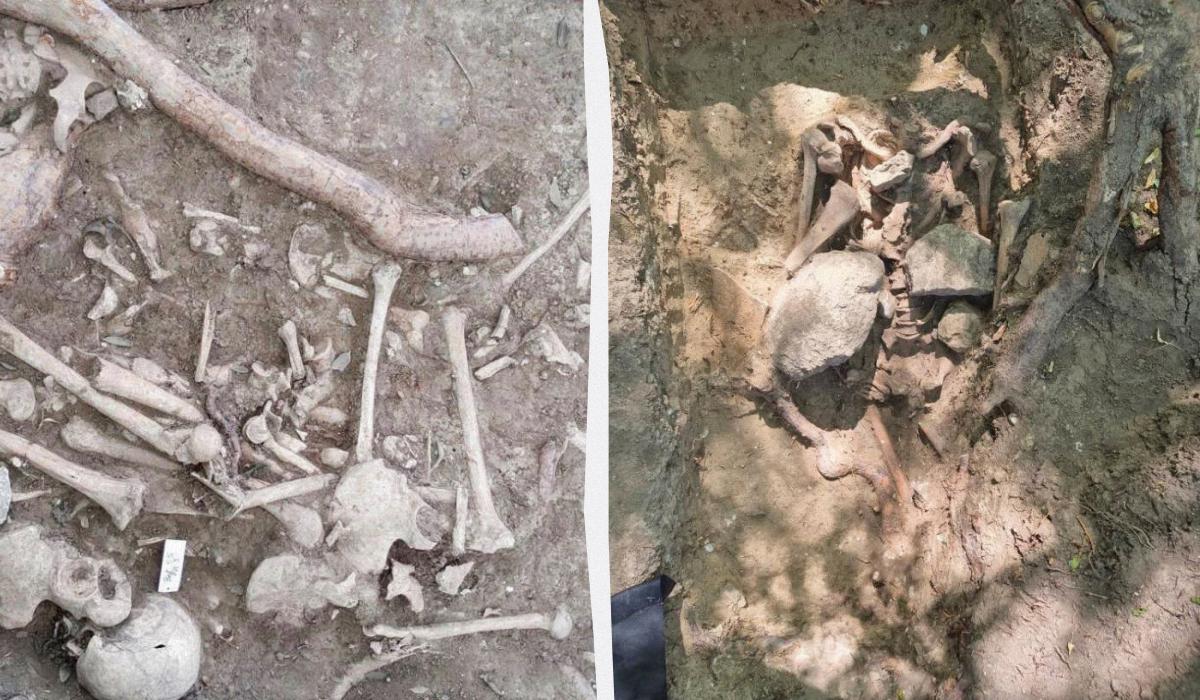 В Германии раскопали могилу "зомби"/ Коллаж УНИАН, фото State Office for Heritage Management and Archaeology Saxony-Anhalt В Германии раскопали могилу "зомби"/ Коллаж УНИАН, фото State Office for Heritage Management and Archaeology Saxony-Anhalt