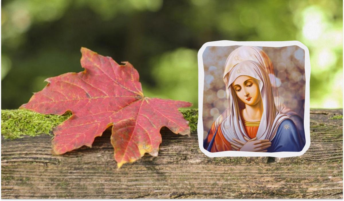 Какой сегодня праздник 21 сентября / коллаж УНИАН, фото pixabay