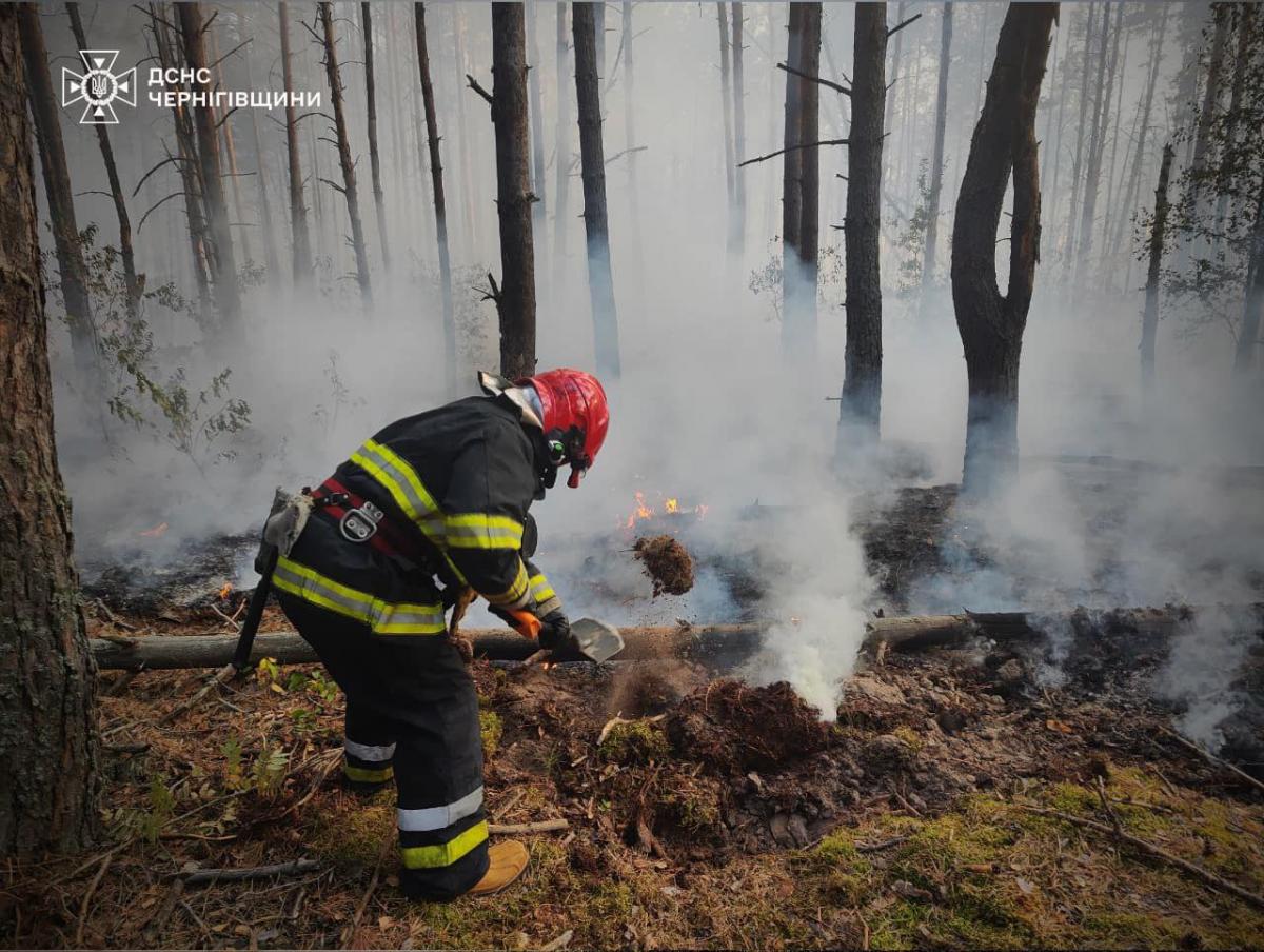 На Чернігівщині горять екосистеми / фото ДСНС На Чернігівщині горять екосистеми / фото ДСНС