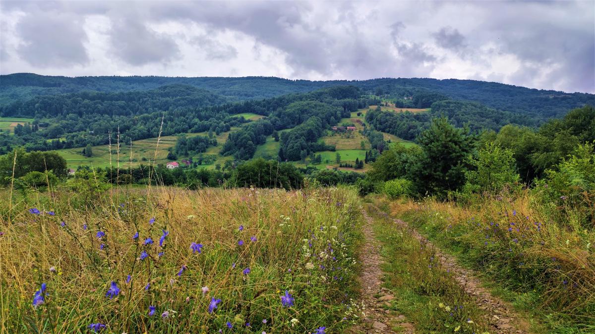 Краєвиди з Оріва / фото Марина Григоренко Краєвиди з Оріва / фото Марина Григоренко