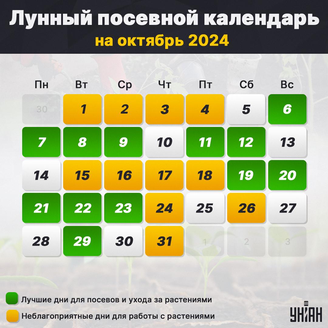 Лунный посевной календарь на октябрь 2024 таблица / картинка УНИАН Лунный посевной календарь на октябрь 2024 таблица / картинка УНИАН
