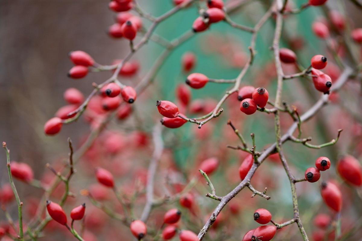 Наприкінці тижня погода в Україні стабілізується / фото Pixabay Наприкінці тижня погода в Україні стабілізується / фото Pixabay