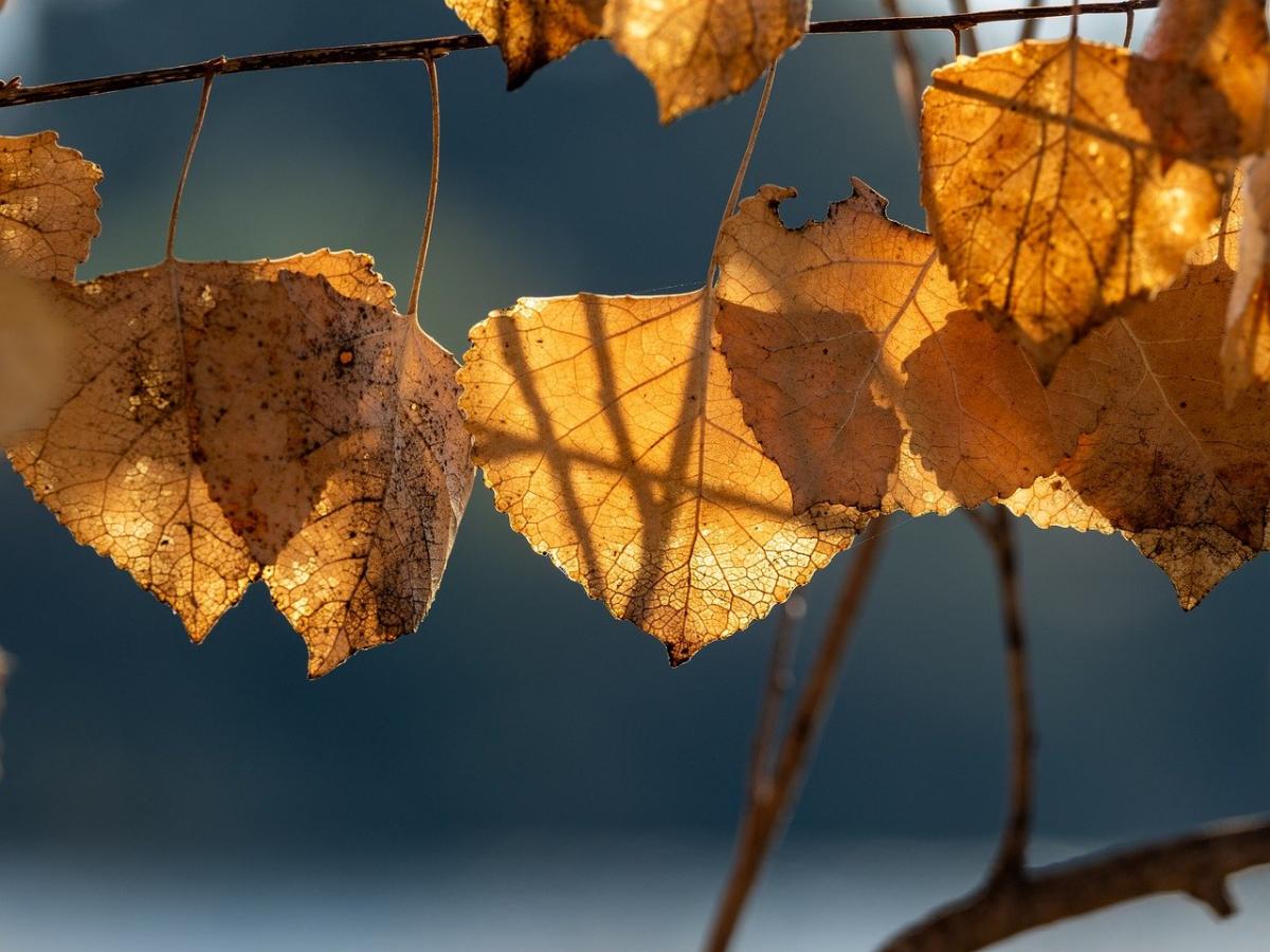 До конца недели погода в Украине будет спокойной / фото Pixabay До конца недели погода в Украине будет спокойной / фото Pixabay