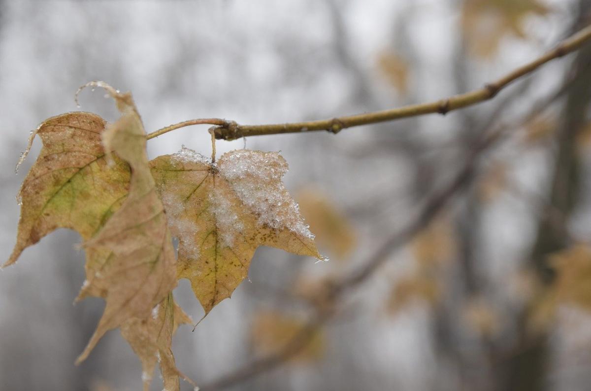 Сьогодні на сході України може бути мокрий сніг / фото Pixabay Сьогодні на сході України може бути мокрий сніг / фото Pixabay