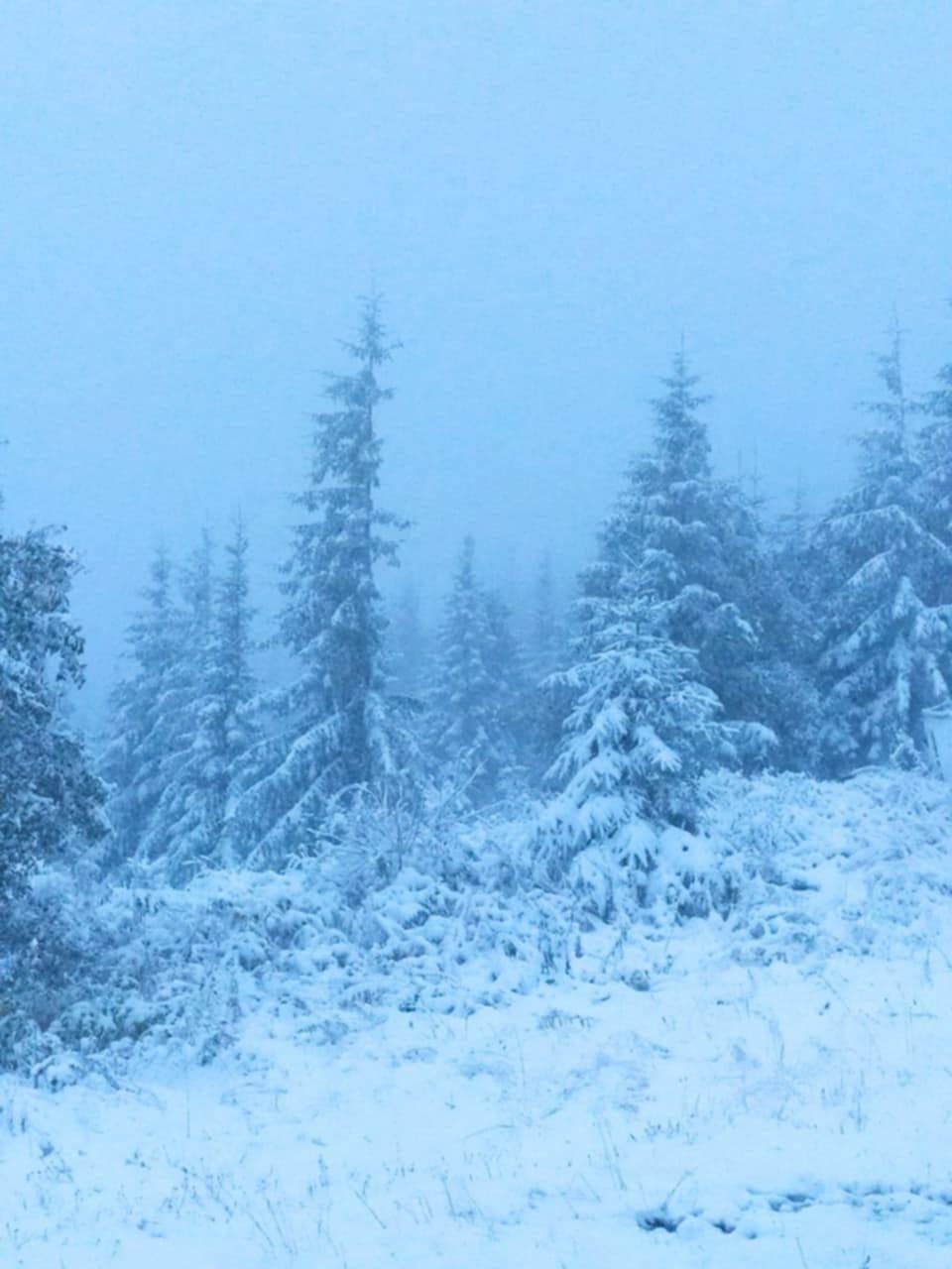 Снег на Пожижевской долине / фото Василий Шепетюк Снег на Пожижевской долине / фото Василий Шепетюк