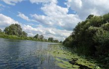 "Киевводоканал" рассказал о состоянии питьевой воды после загрязнения Сейма