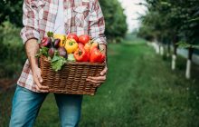 В первую неделю осени некоторые продукты в Украине подорожали: что и сколько стоит