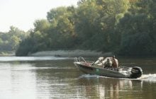 В Чернигове в Десне потемнела вода, местами - массовый замор рыбы