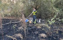 Пожежа на Корчуватському пляжі в Києві: попередня версія - коротке замикання