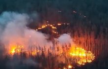 "Страшне доповнення війни": в BI пояснили, для чого Україна застосовує дрони-"дракони"