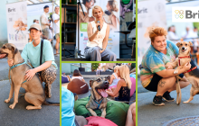 Війна відібрала в них дім. Відчуй свого - подаруй тепло чотирилапому другу