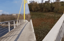 "Виріс густезний ліс": який вигляд зараз має Каховське водосховище на Херсонщині (відео)