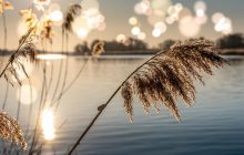 Забруднена вода може днями досягнути Київщини: у Кабміні розповіли про заходи