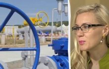 "Мы уже не во власти трубопроводов Путина": ЕС готов отказаться от российского газа