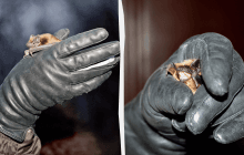 Що робити, якщо до оселі залетів кажан: поради від науковців Київського зоопарку