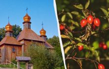 18 вересня: церковне свято сьогодні, які три заборони цього дня