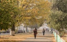 В Киеве зафиксировали значительное загрязнение воздуха: когда ситуация станет лучше