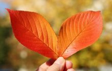 Відома синоптикиня розказала, яка погода чекає на українців найближчими днями