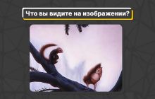 Что вы увидели первым: быстрый тест на характер по картинке