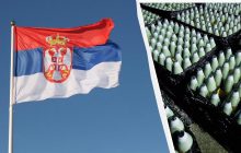 Запад закупает боеприпасы и минометы для Украины у союзников Путина, - The Economist