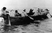 Древние скандинавы могли изготавливать лодки из кожи животных для охоты и торговли