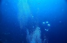 Более 99% морских глубин все еще остаются загадкой для человечества, - исследование