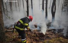 Окупанти скидають з дронів запальну суміш: на Чернігівщині росте кількість пожеж в екосистемах (фото)