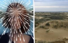 "Взрыв" мозга: надо найти собаку в песках за 7 секунд в удивительной оптической иллюзии