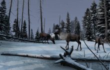 DayZ получит крупное дополнение: в игру добавят зимний регион
