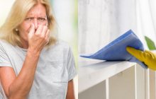 Эти средства "убивают" любой неприятный запах в квартире: народные лайфхаки