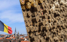 Румунія збільшує закупівлю боєприпасів після вторгнення російських БпЛА на свою територію