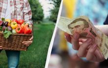 Ціни на деякі овочі ростуть, як на дріжджах: що і скільки коштує в Україні