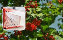 Праздники в октябре 2024: все важные даты, выходные, перевод часов