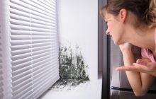 Варто додати лиш один предмет: експерт розповів, як позбутися плісняви у будинку