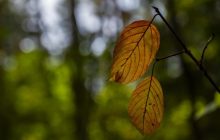 Октябрь в Киеве начнется с тепла, но есть нюанс