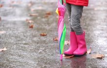 Во Львове объявлен І уровень опасности: что произошло (инфографика)
