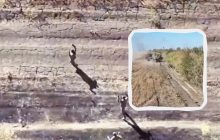 Россияне накрыли из артиллерии своих же военных, пока те сдавались в плен (видео)