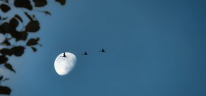 Лунный календарь на сентябрь 2024: когда и что лучше планировать в начале осени