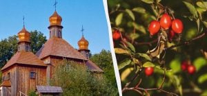 31 октября: церковный праздник сегодня, почему в этот день важно выспаться