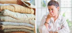 Почему появляется затхлый запах в шкафу: основные причины и пути решения проблемы