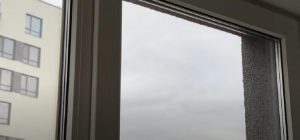 Что делать, чтобы не "плакали" окна: эксперт дал дельный совет