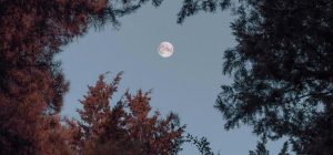 Неудачные дни октября 2024: когда не стоит планировать важные дела