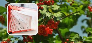 Праздники в октябре 2024: все важные даты, выходные, перевод часов