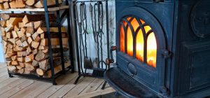 Ці дрова найкраще за інші підходять для топки: коли і як заготовляти