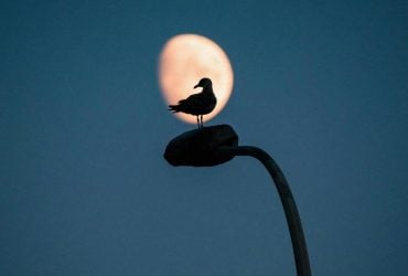 Коварное новолуние и другие неблагоприятные дни: что обещает лунный календарь в марте 2025