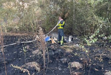 Пожар на Корчеватском пляже в Киеве: предварительная версия - короткое замыкание