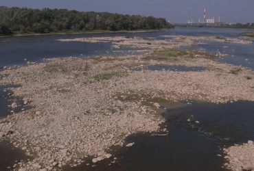 Самая длинная река Польши критически обмелела (фото)